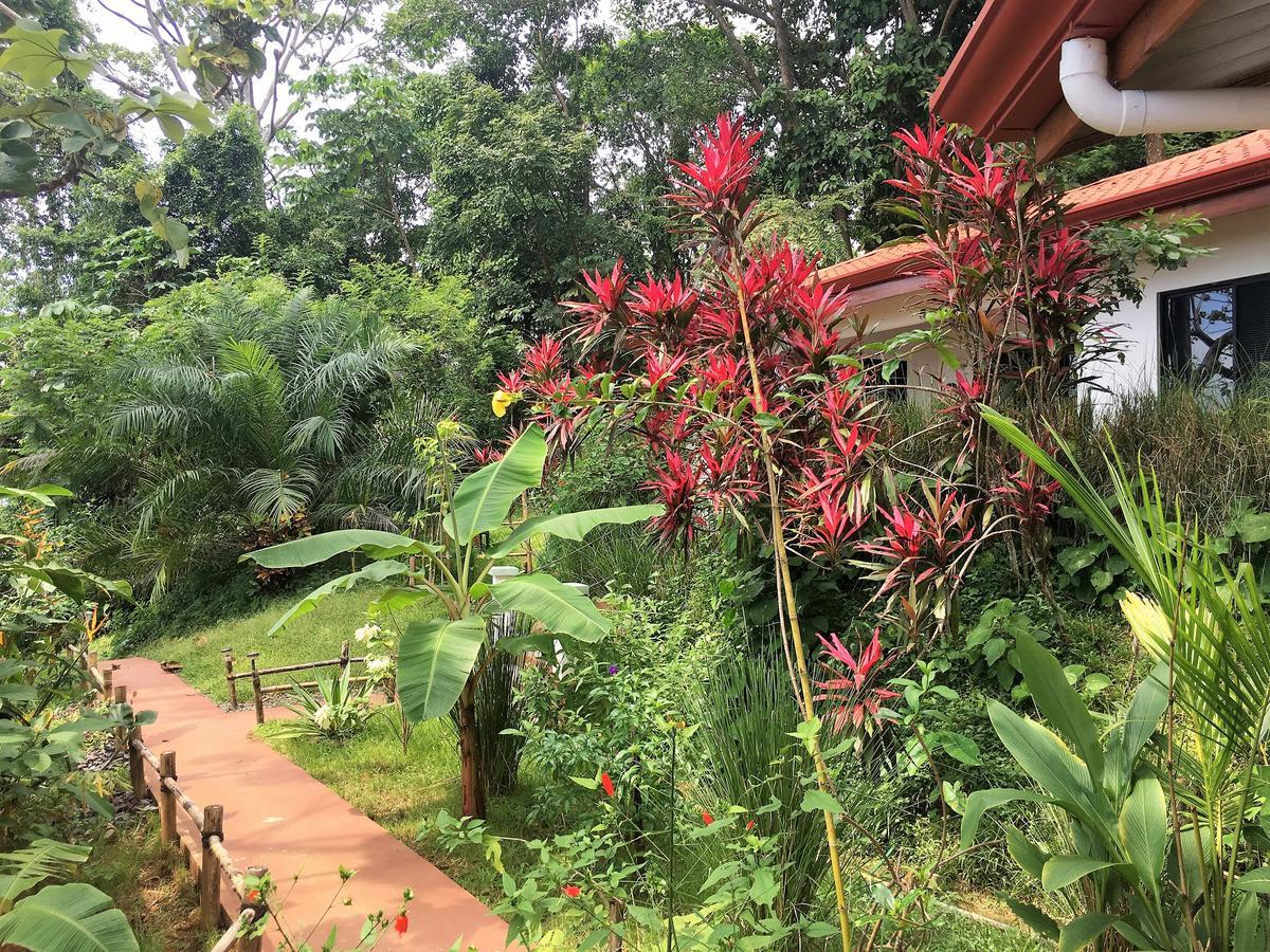 Casa Del Toucan ドミニカル エクステリア 写真